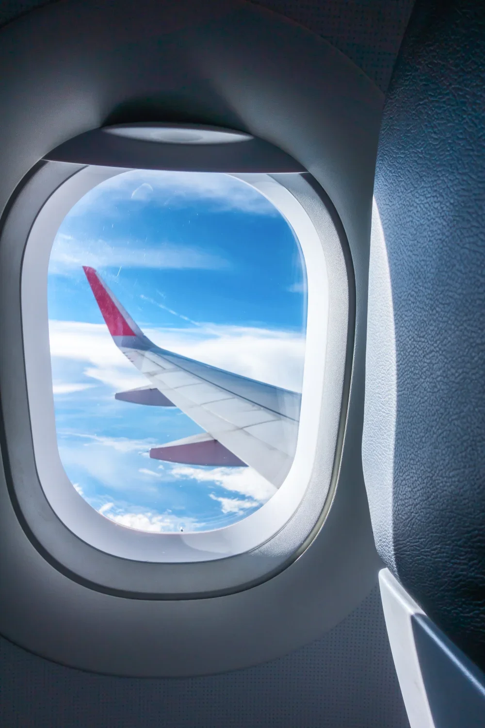 Travel & Hospitality